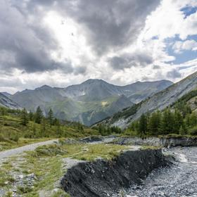 Природный пейзаж