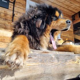 Зимний тур на Байкал