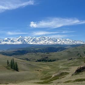 Курайская степь