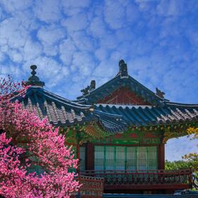 Весна в Сеуле