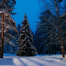 Карелия