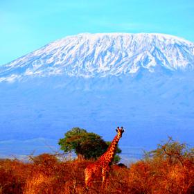 Килиманджаро