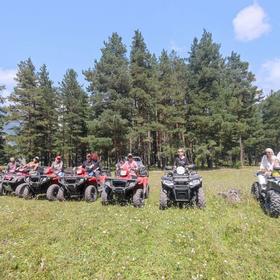 Местный пейзаж