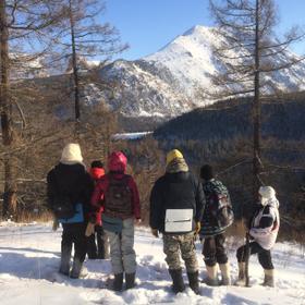 Снежный пейзаж