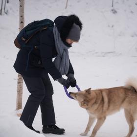 Туристы