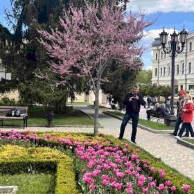 Тур на Кавказ