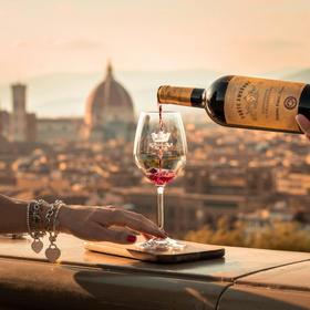 Винный тур в Италию