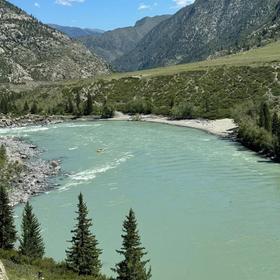 Местный пейзаж