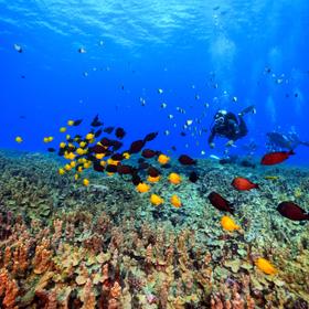 Большой Барьерный Риф