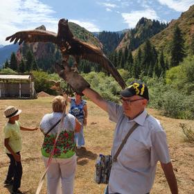 Соколиная охота