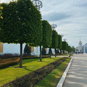 тур в Москву
