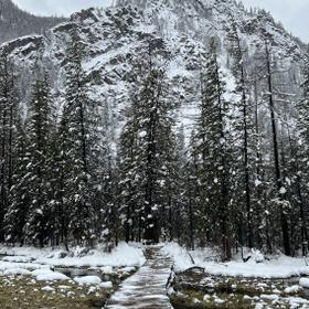 Зимний тур на Алтай