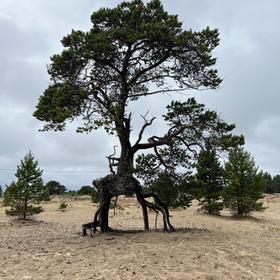 Экскурсия на Терский берег