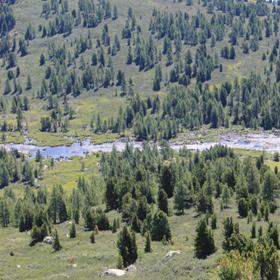 Горный Алтай