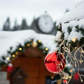 Новогодний тур