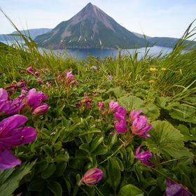 Вулкан Креницына