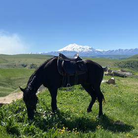 Местный пейзаж