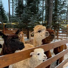 Тебердинский заповедник