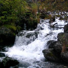 Местный пейзаж