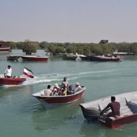 Мангровый лес на острове Кешм