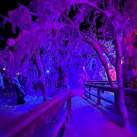 Снежная сказка в Хибинах