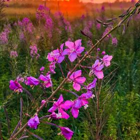 Природа Карелии