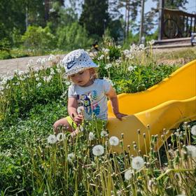 Кемпинг на острове Кильпола