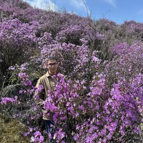 Цветение маральника