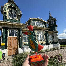 Дом Шорина в Гороховце