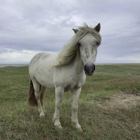 Кузомень