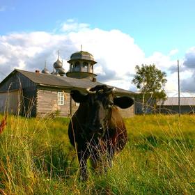 Тур по Архангельской области