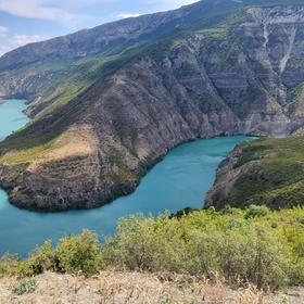 Местный пейзаж