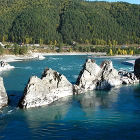 Зубы Дракона