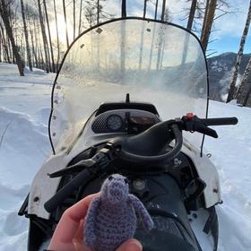 Снегоходы