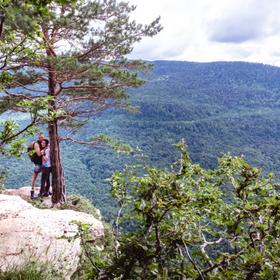 Туристы в Адыгее
