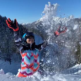 ГК Газпром (Альпика)