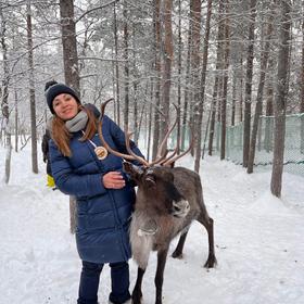 Олень в Саамской деревне