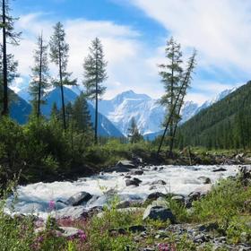 Природа Алтая