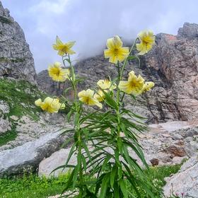 Малый Фиштинский ледник