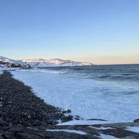 Тур в Териберку на Кольском