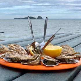 Устрицы во Франции