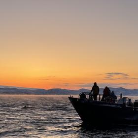 Прогулка в Баренцевом море