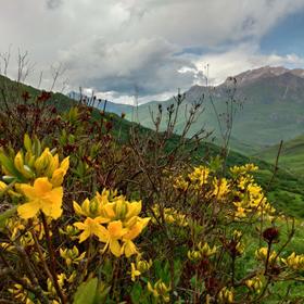 Кавказские пейзажи 