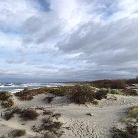 Куршская коса