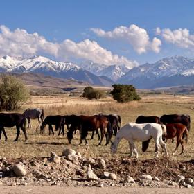 Горы в Киргизии