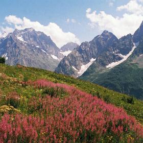 Осенний тур в Домбай