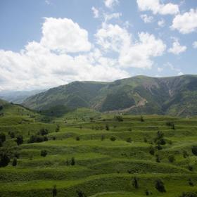 Местный пейзаж