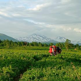 Природный парк «Налычево»