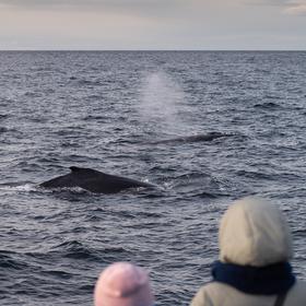 Баренцево море