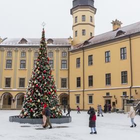 Несвижский замок